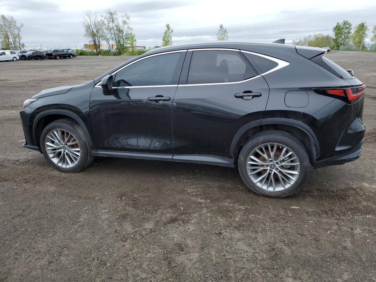 2023 Lexus Nx 350 - Фото 2