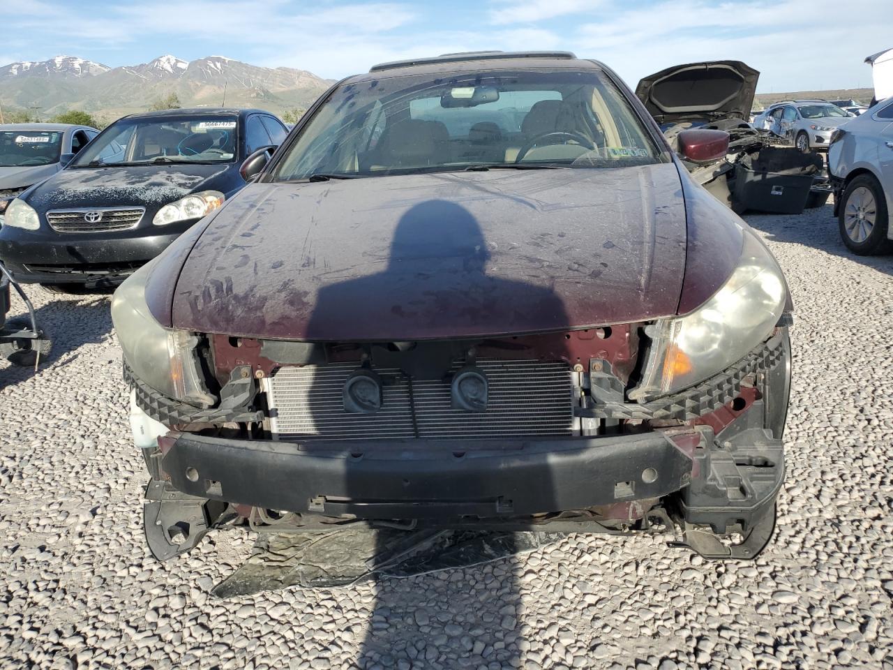 2008 Honda Accord Exl - Image 5