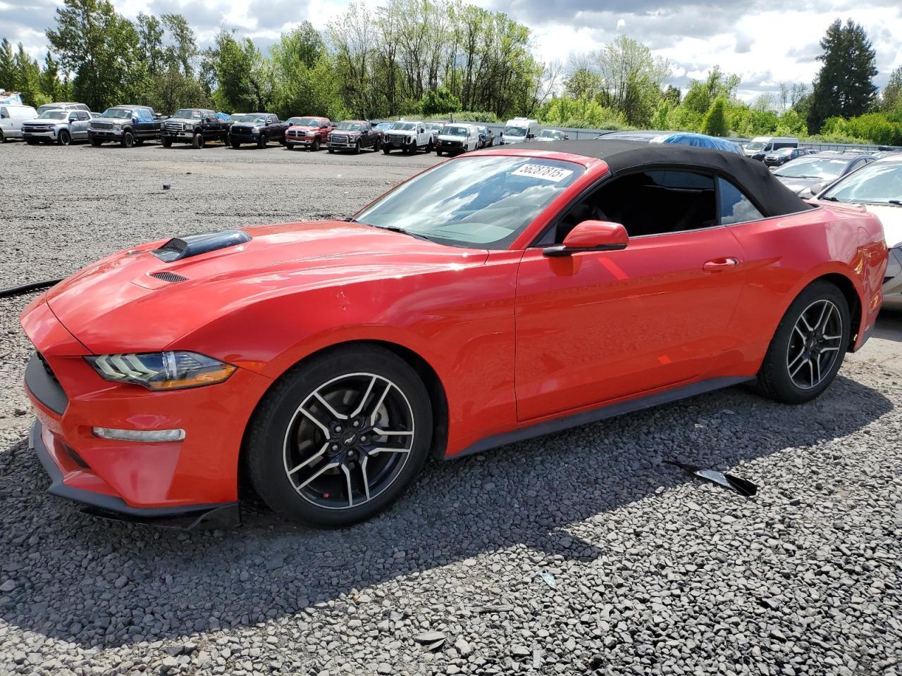 2019 Ford Mustang