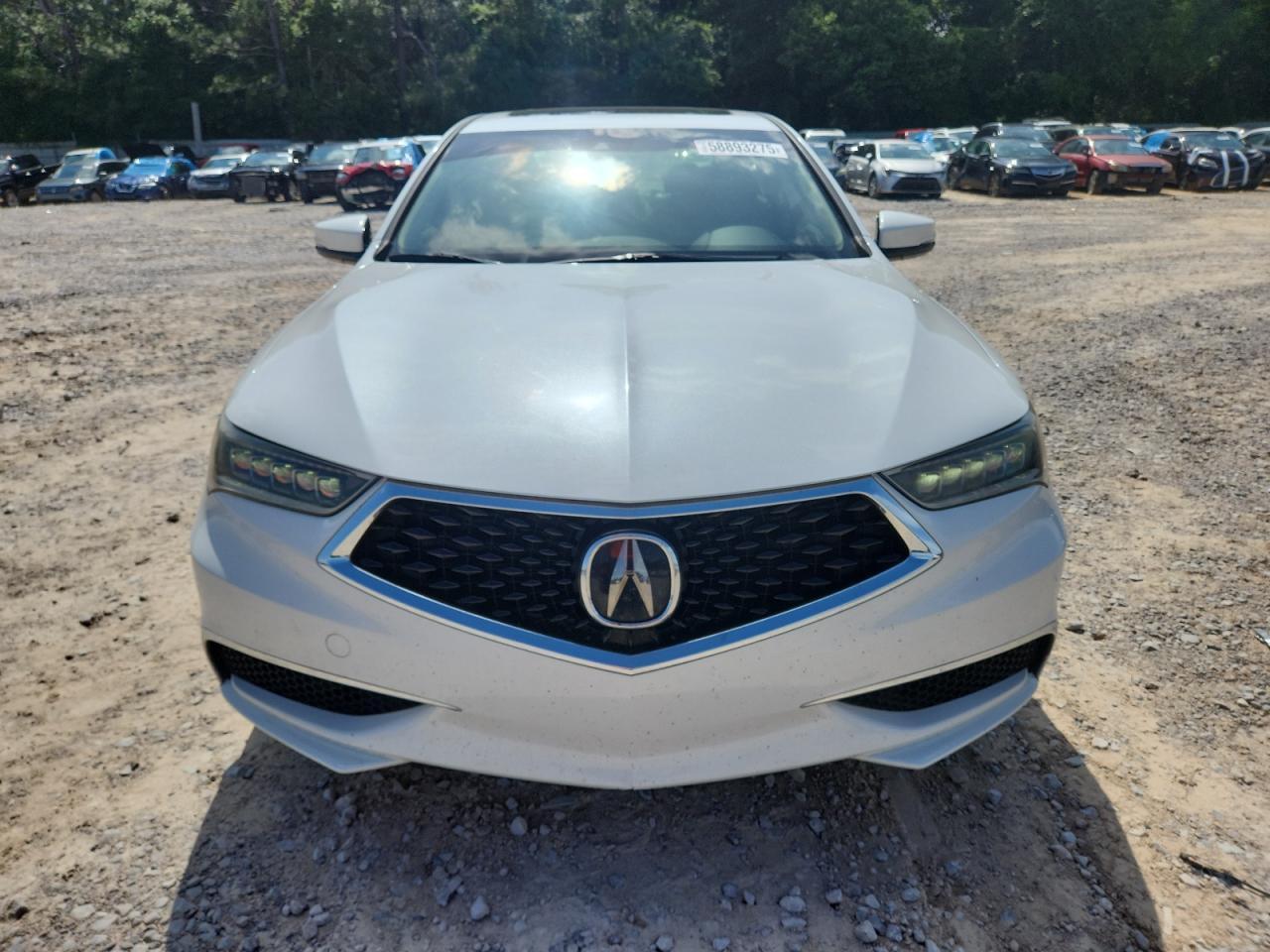 2019 Acura Tlx - Image 5