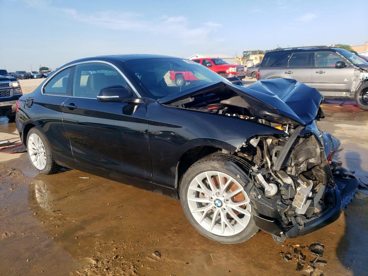 2016 BMW 228 I Sulev - Фото 4