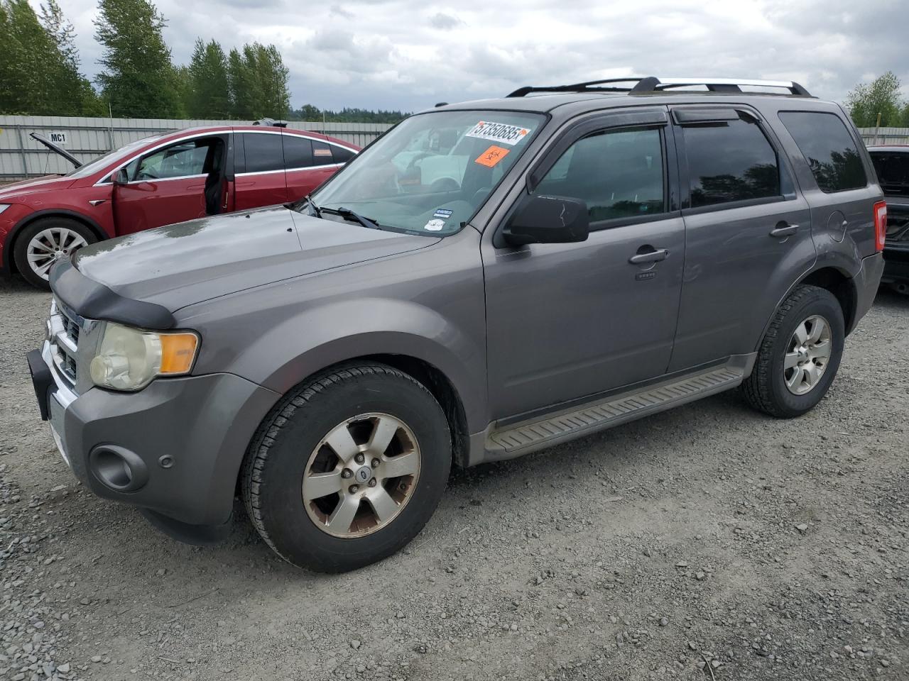 2010 Ford Escape Limited
