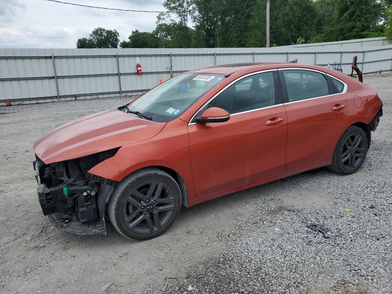2019 Kia Forte Ex