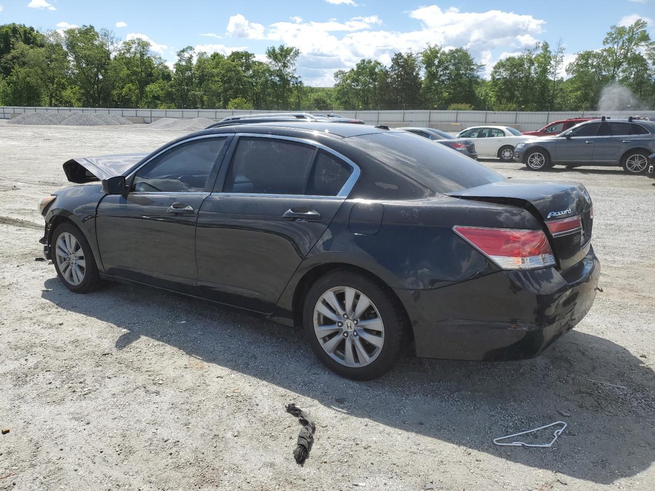 2011 Honda Accord Exl - Image 2