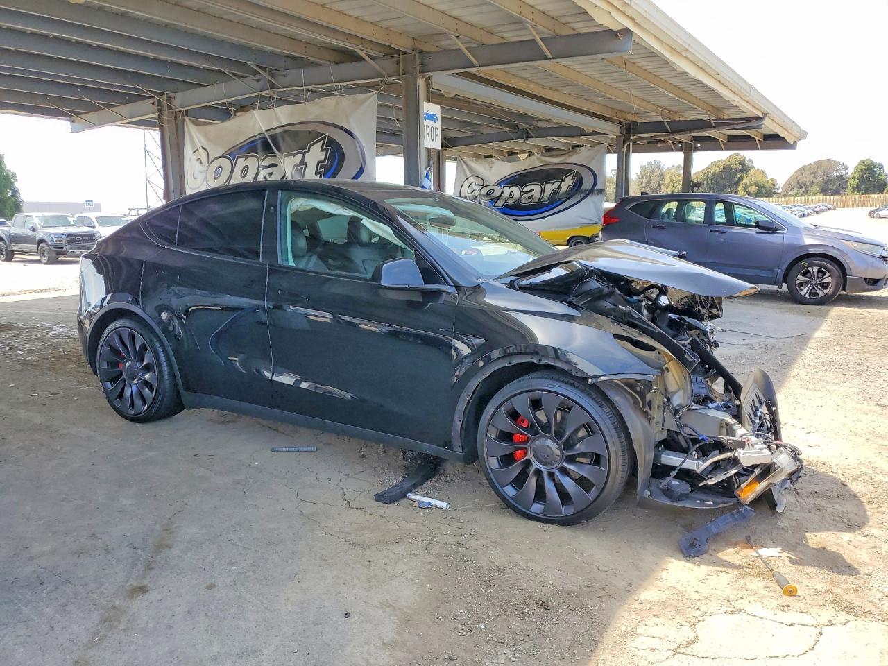 2024 Tesla Model Y - Фото 4
