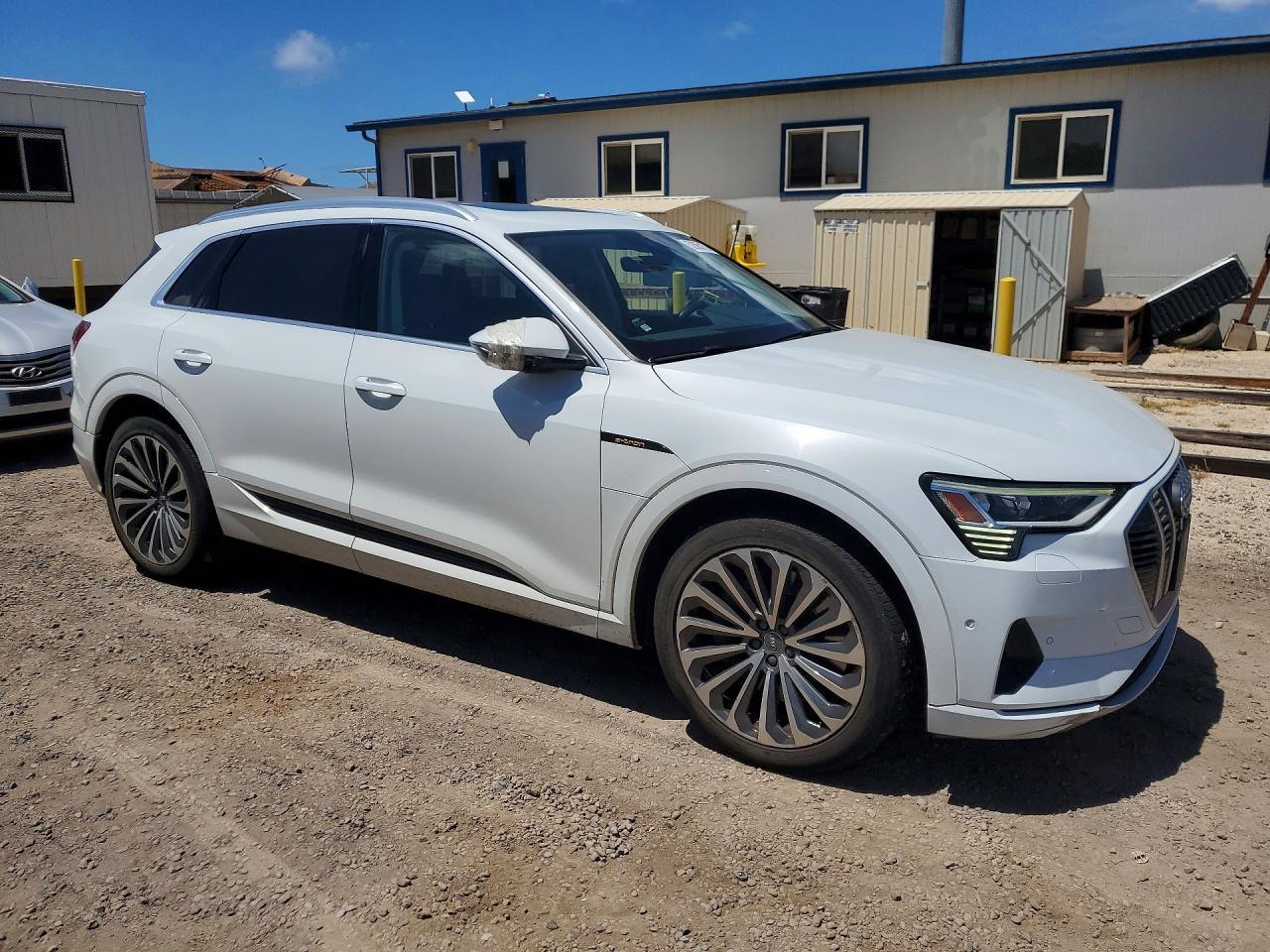 2019 Audi E-Tron Prestige - Фото 4