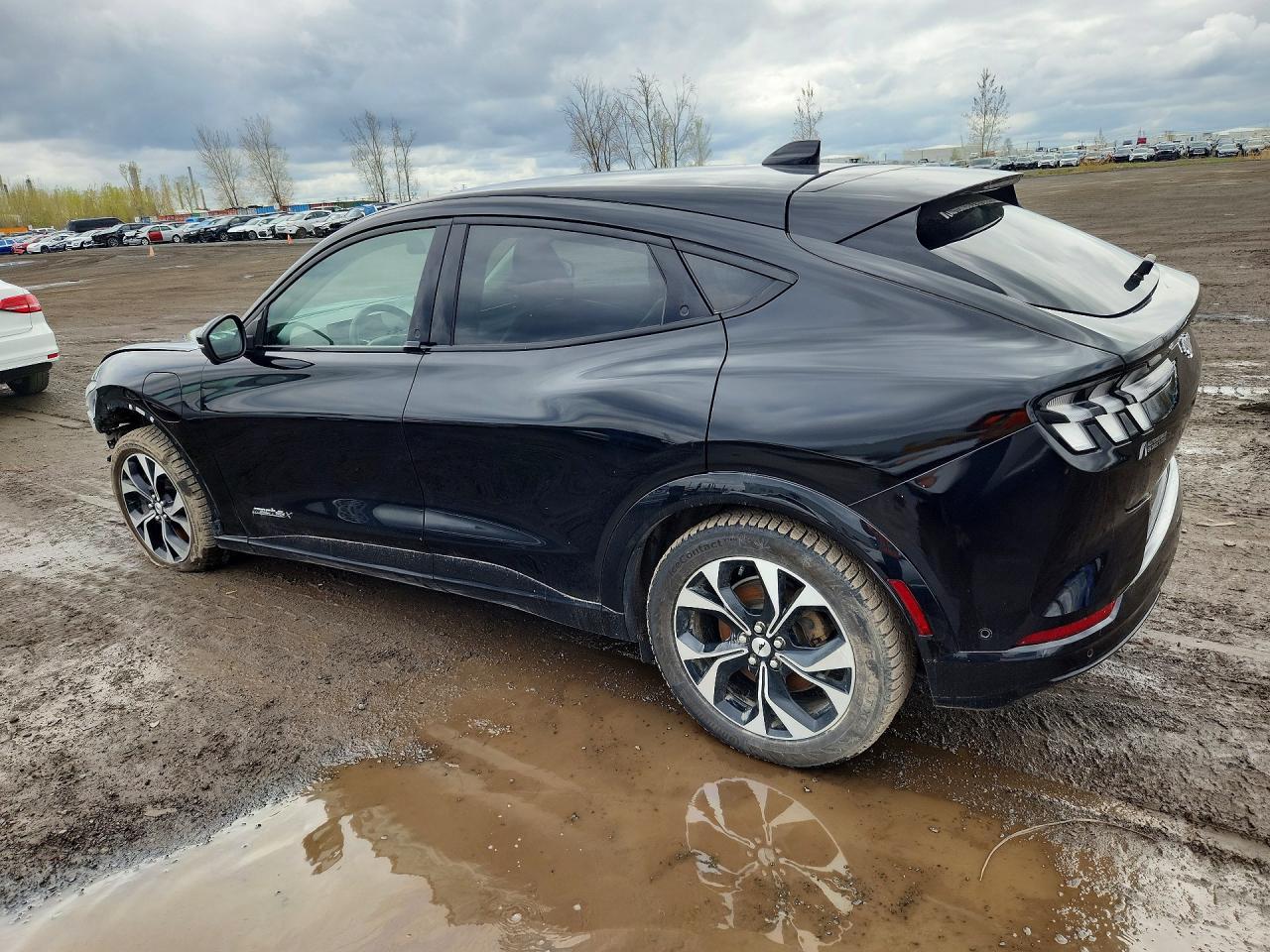 2021 Ford Mustang Mach-E Premium - Фото 2