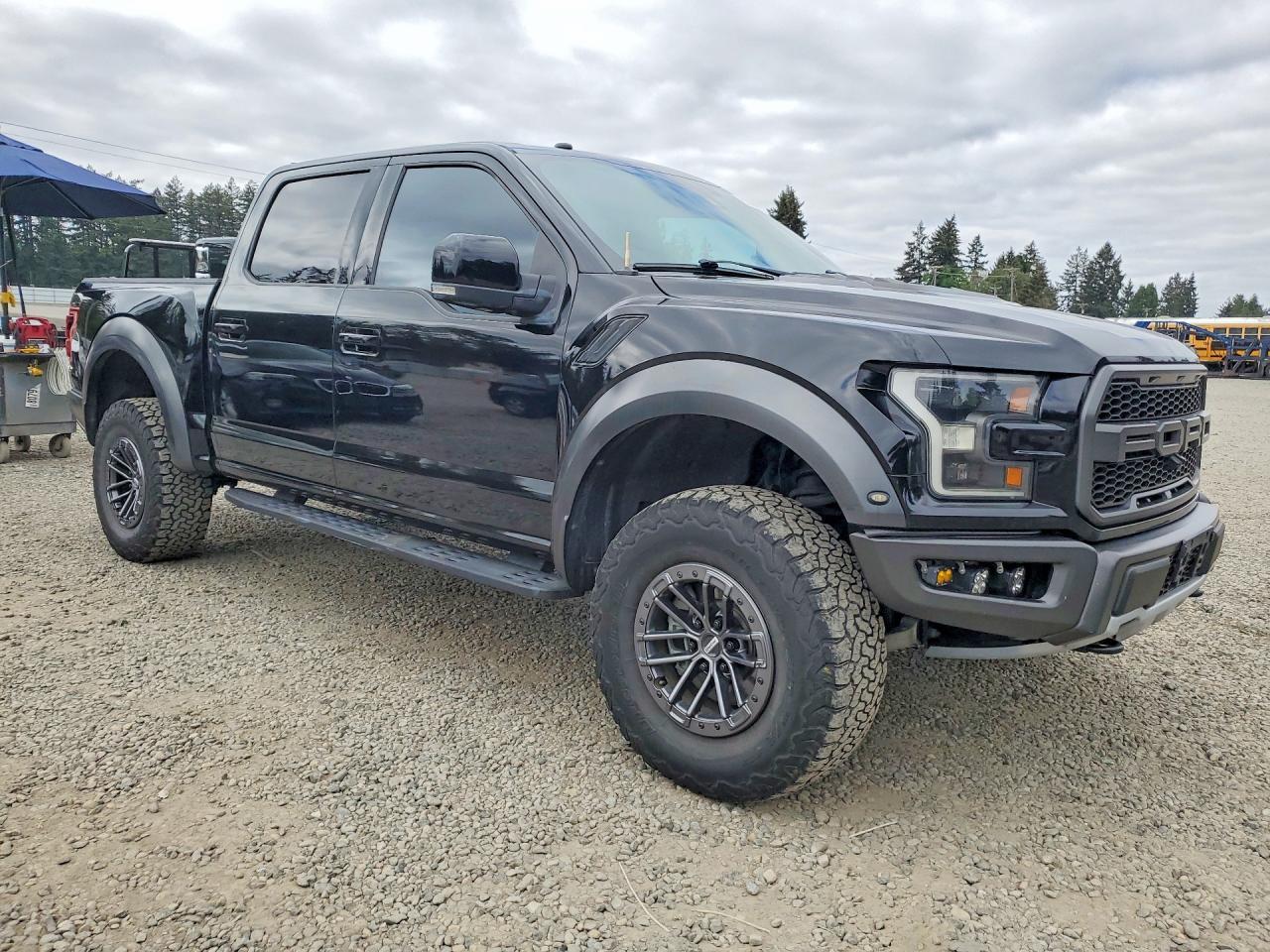 2018 Ford F150 Raptor - Image 4
