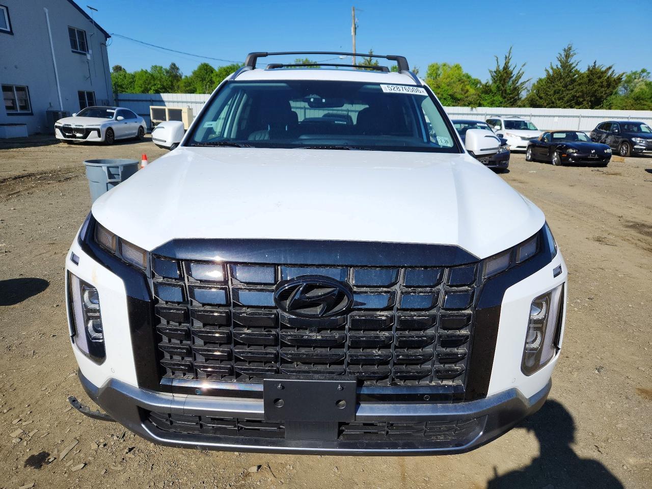 2024 Hyundai Palisade Limited - Фото 5
