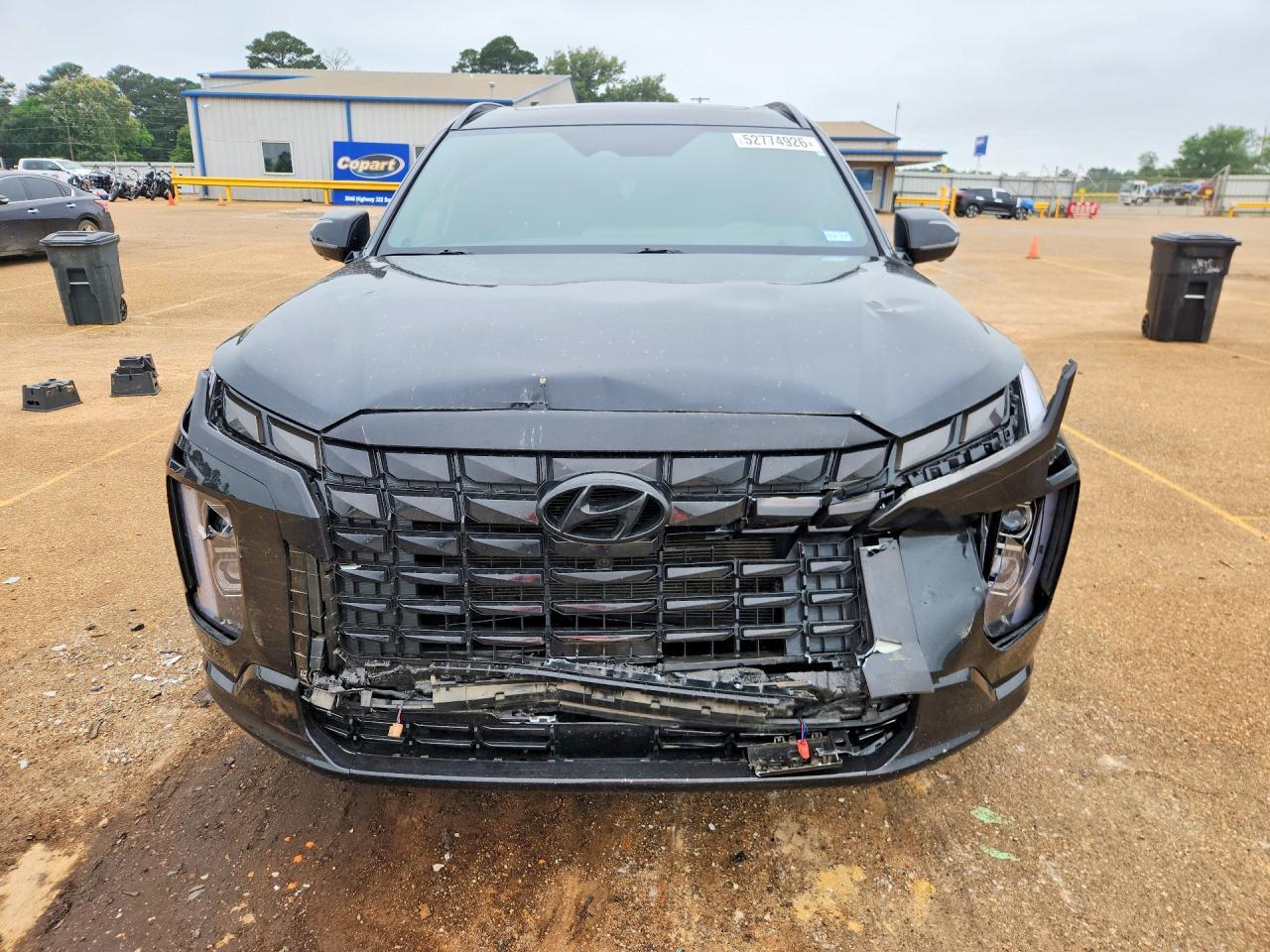 2025 Hyundai Palisade Calligraphy Night Edition - Фото 5