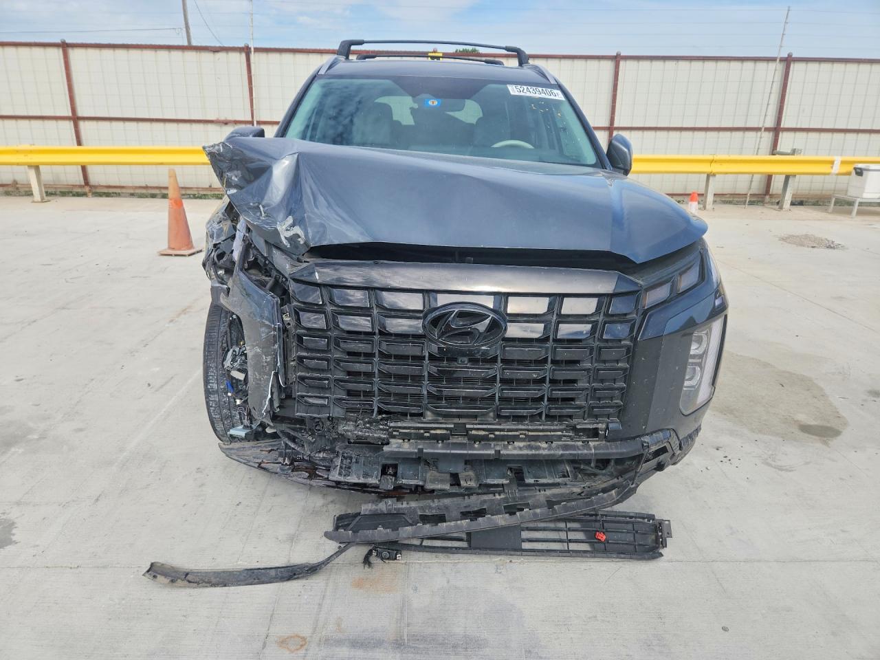 2023 Hyundai Palisade Limited - Фото 5