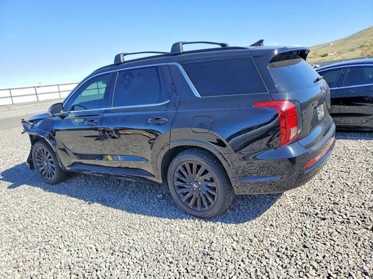 2024 Hyundai Palisade Calligraphy Night Edition - Фото 2