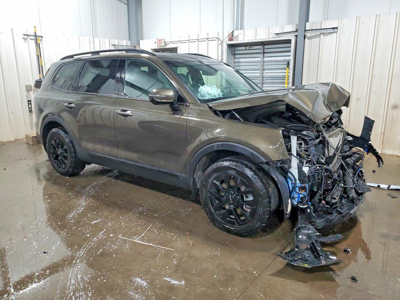 2024 Kia Telluride Sx-Prestige X-Pro - Фото 4