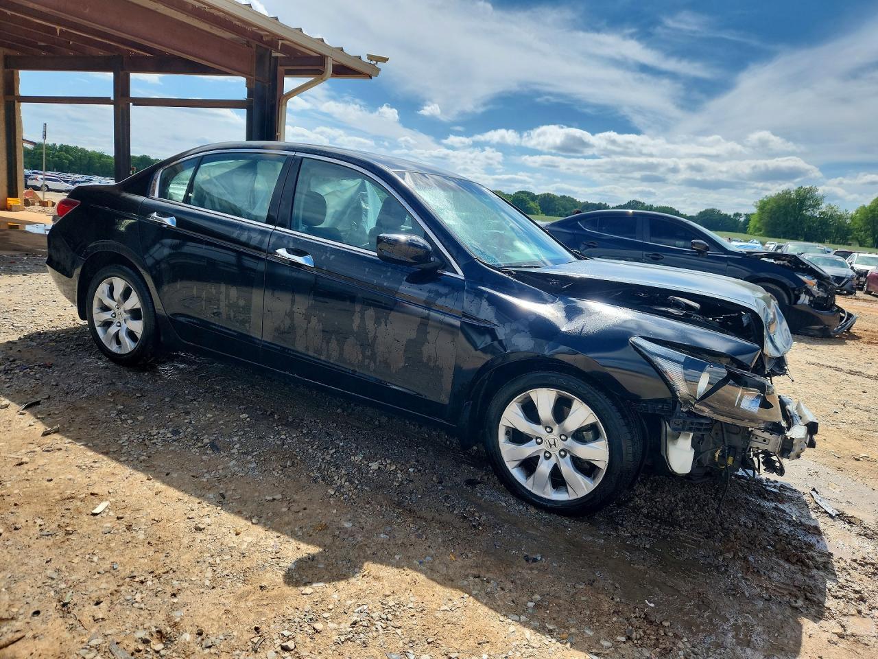 2010 Honda Accord Exl - Фото 4