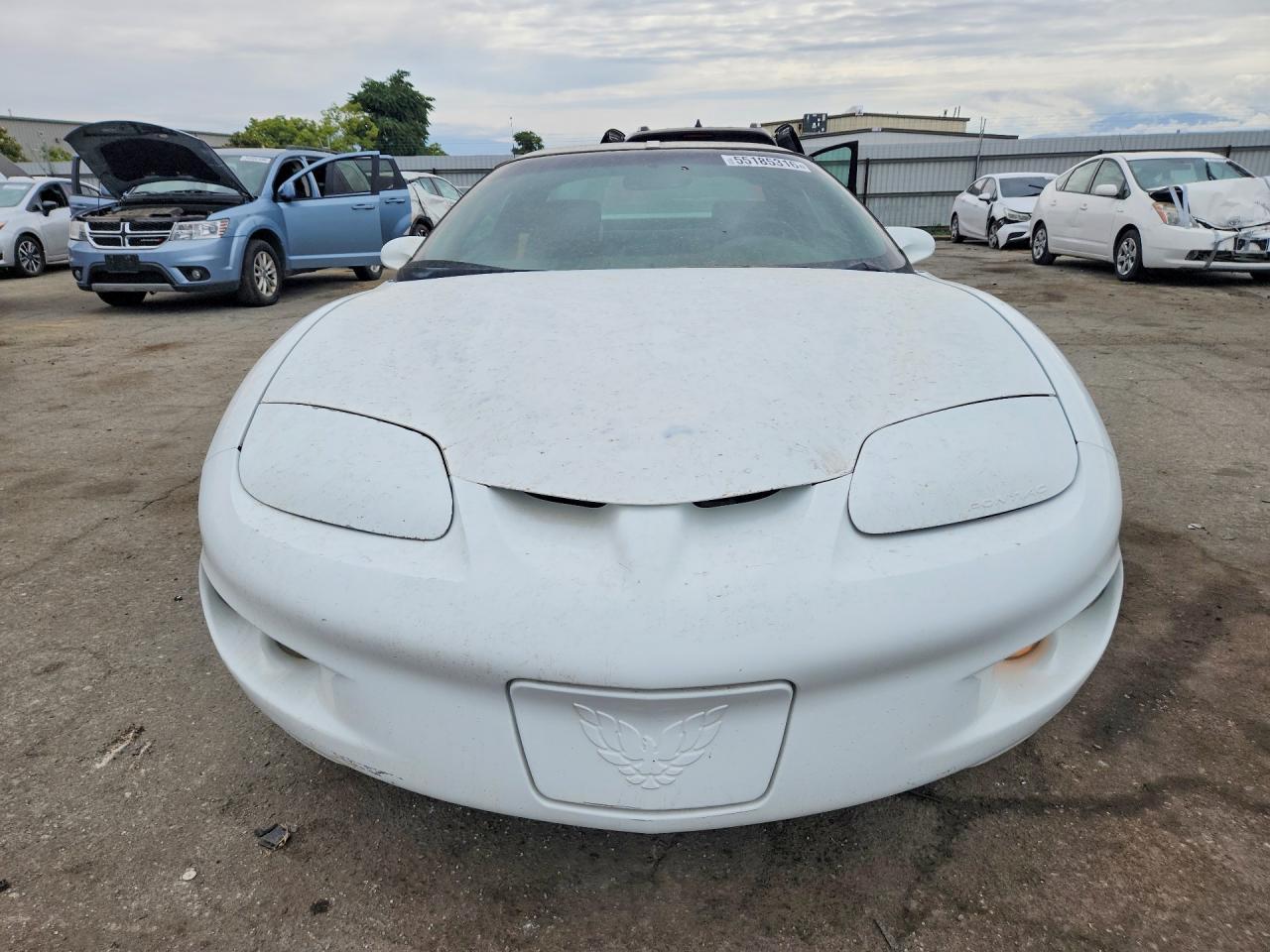 2001 Pontiac Firebird - Фото 5