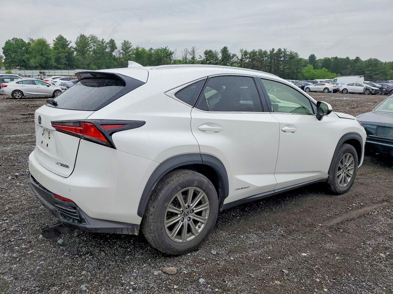2019 Lexus Nx 300H - Image 3