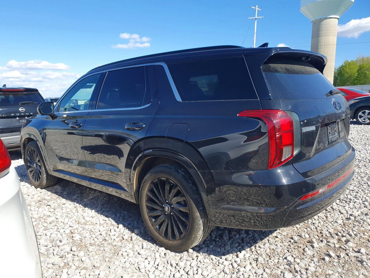2024 Hyundai Palisade Calligraphy Night Edition - Фото 2