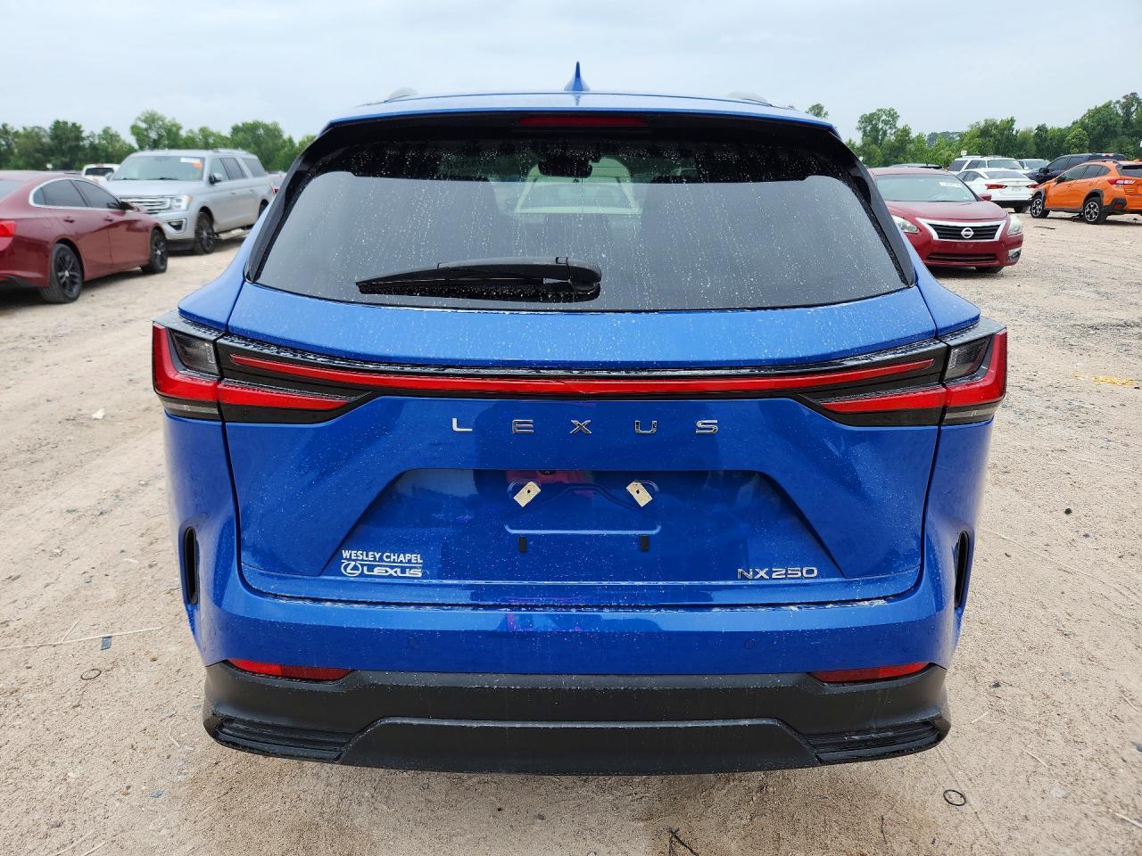 2025 Lexus Nx 250 Base - Фото 6