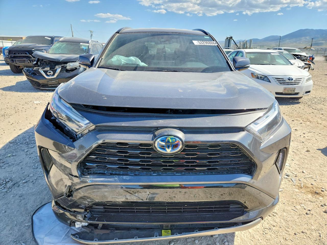 2024 Toyota Rav4 Se - Фото 5