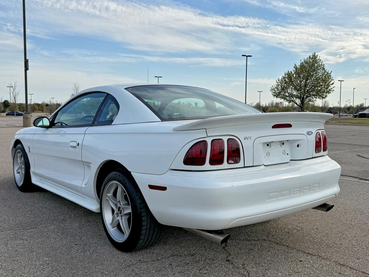 1997 Ford Mustang Cobra - Image 3