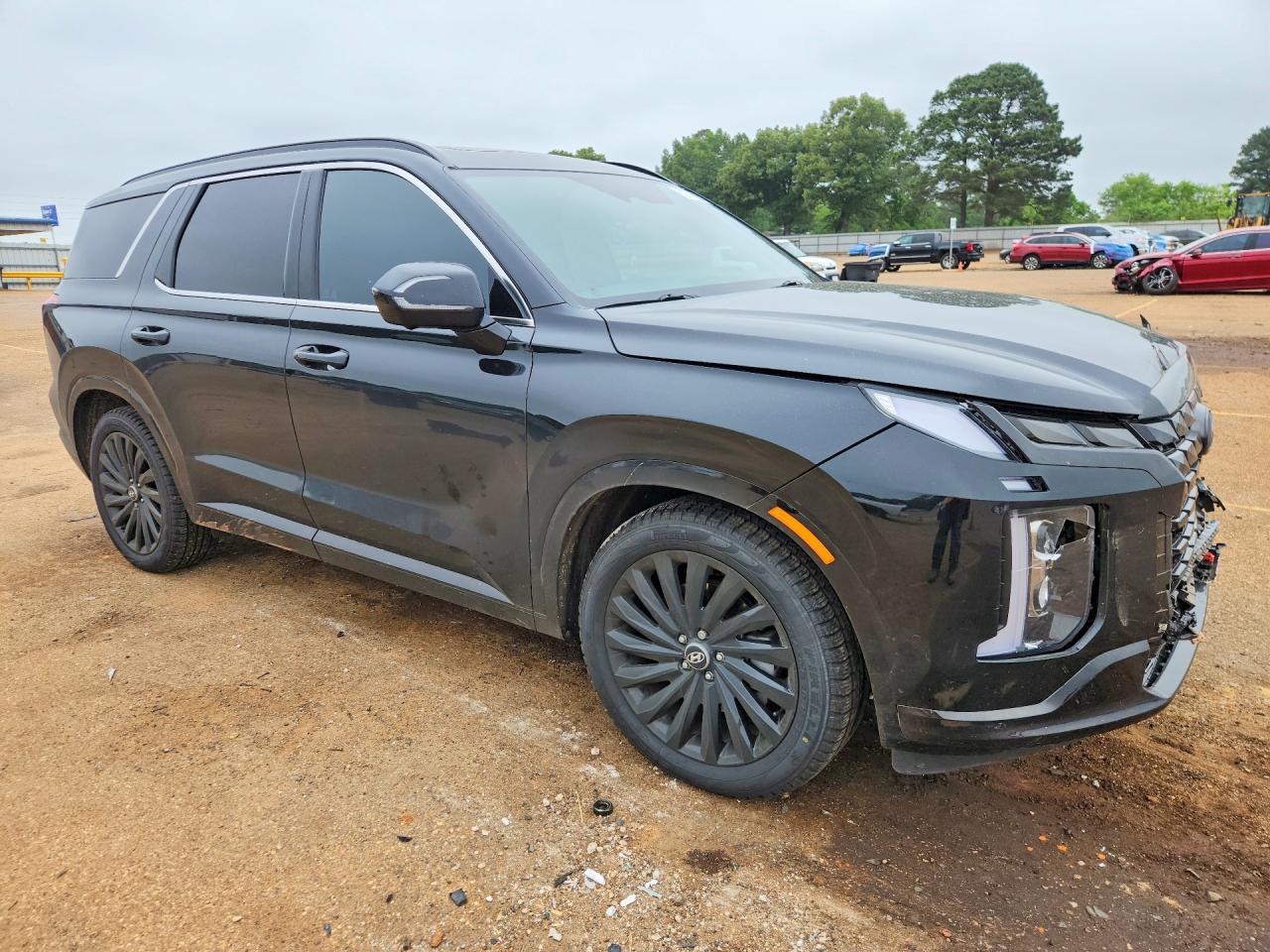 2025 Hyundai Palisade Calligraphy Night Edition - Фото 4