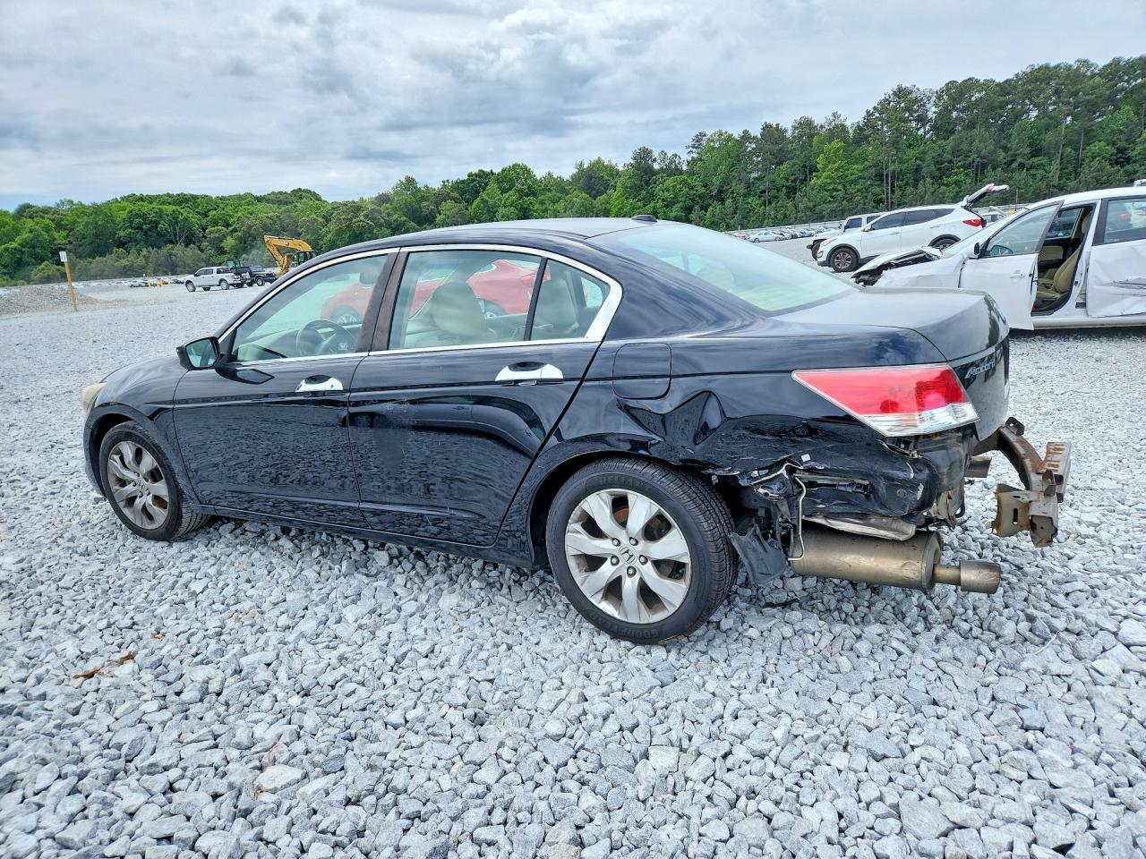 2010 Honda Accord Exl - Image 2