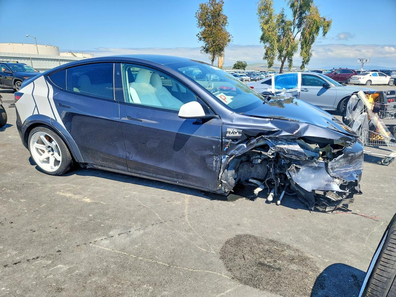 2024 Tesla Model Y - Фото 4