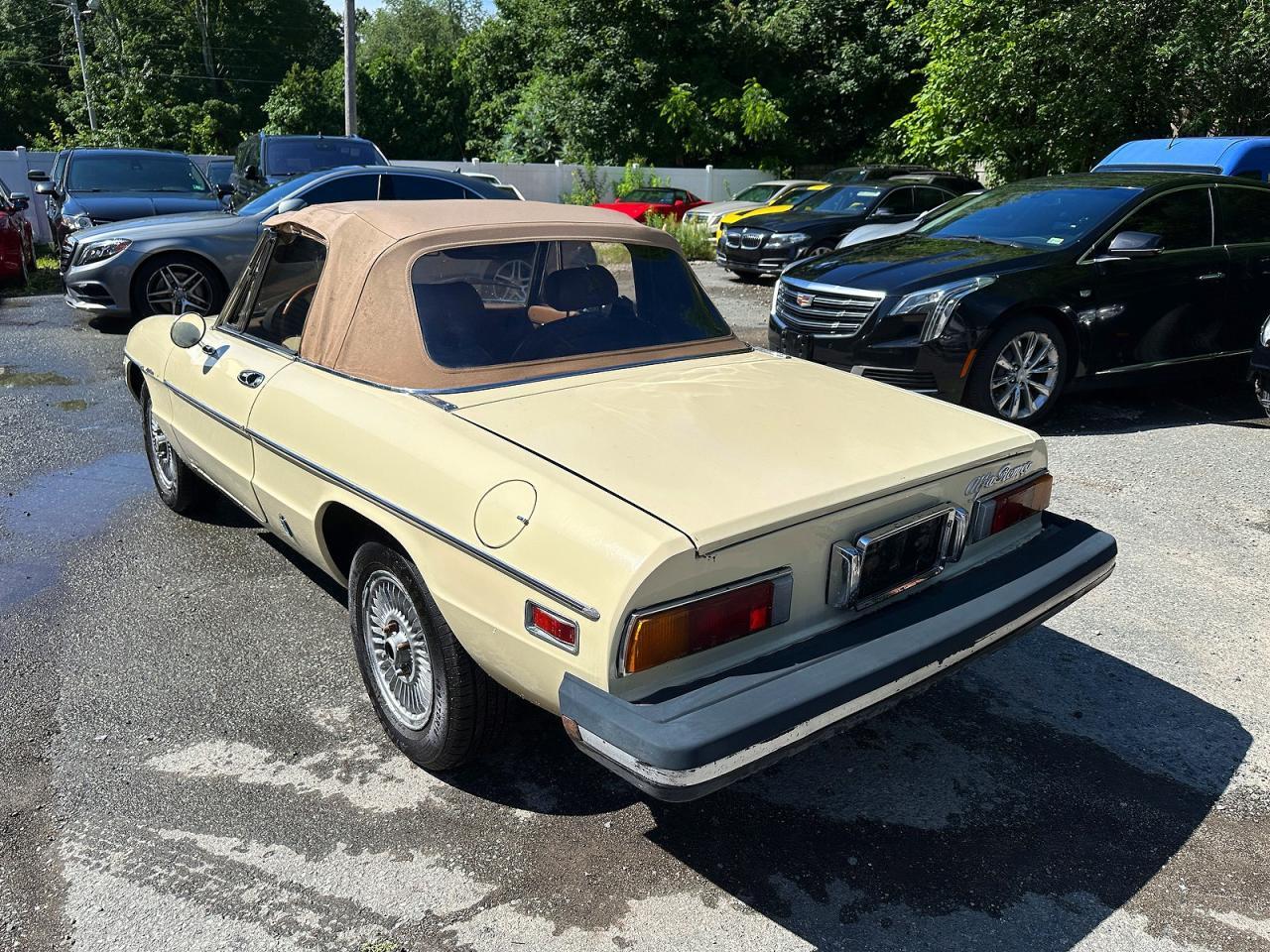 1982 Alfa Romeo Veloce 2000 Spider - Фото 3