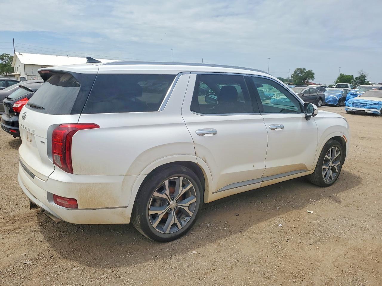 2021 Hyundai Palisade Limited - Фото 3