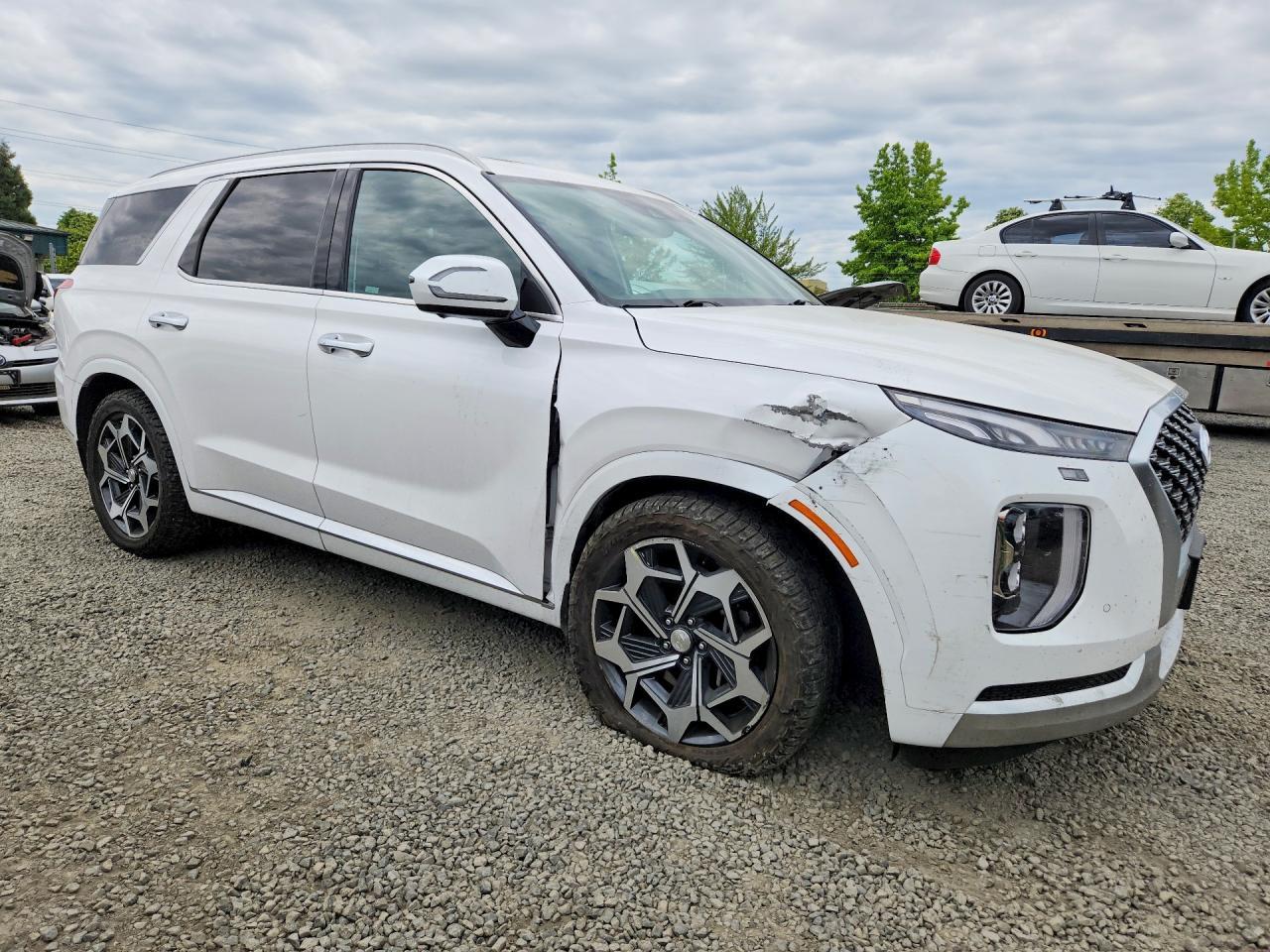 2021 Hyundai Palisade Calligraphy - Фото 4