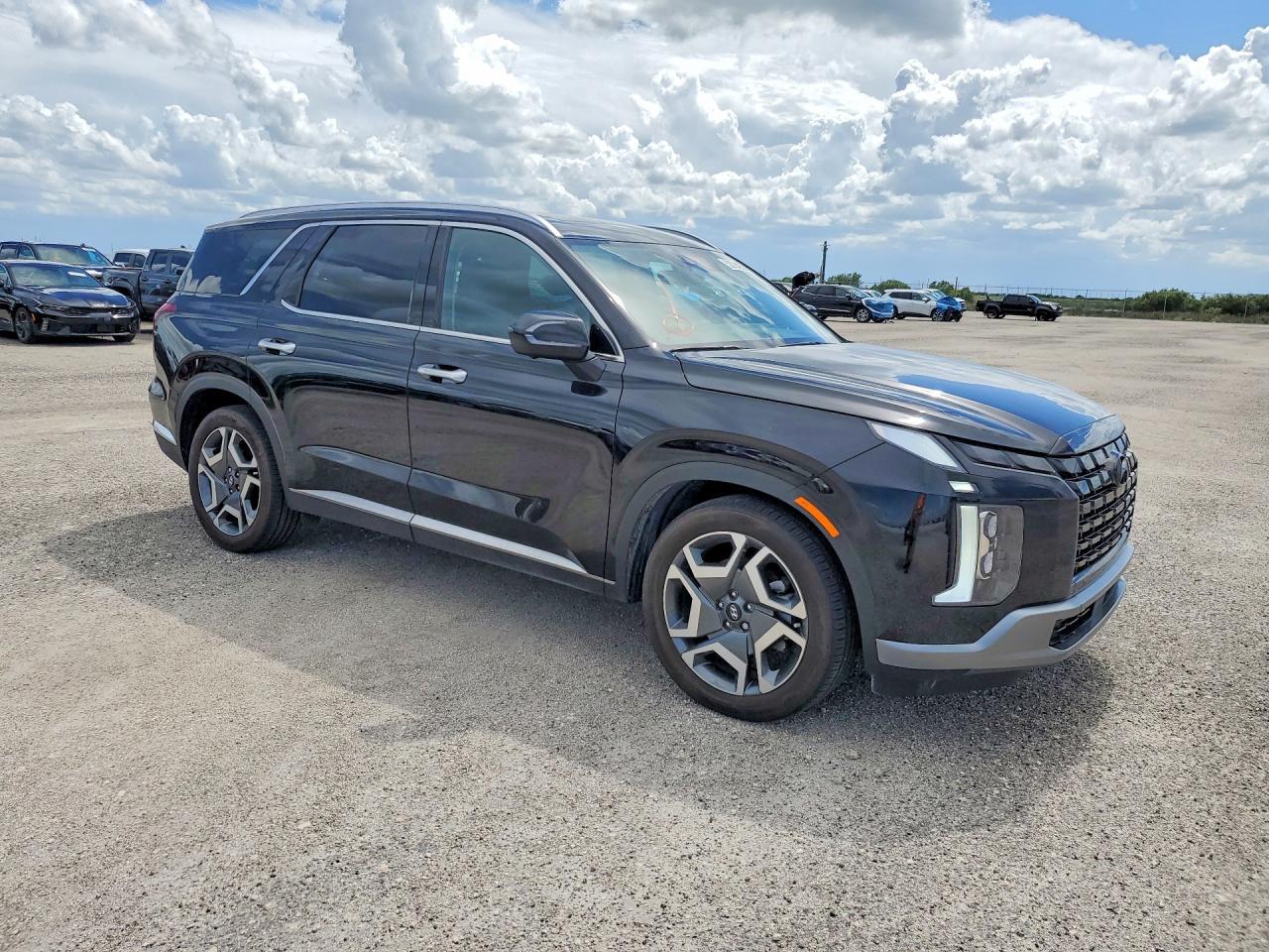 2024 Hyundai Palisade Limited - Фото 4