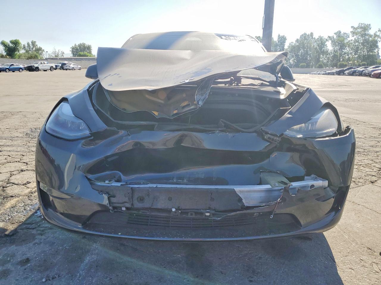 2025 Tesla Model Y - Фото 5