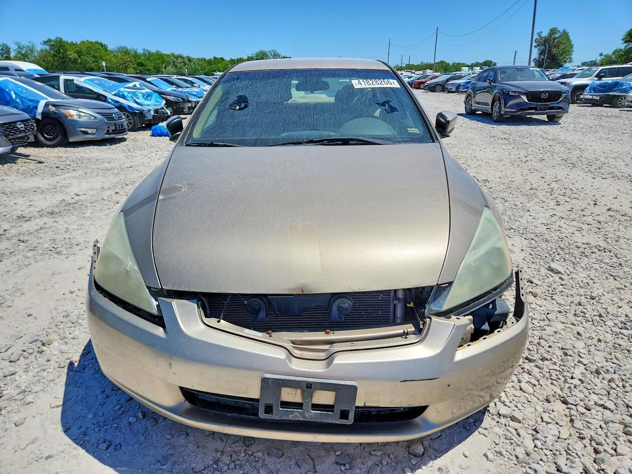 2003 Honda Accord Lx - Фото 5