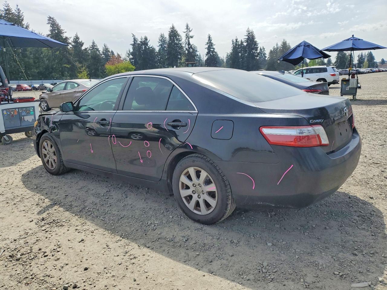 2009 Toyota Camry Hybrid - Image 2