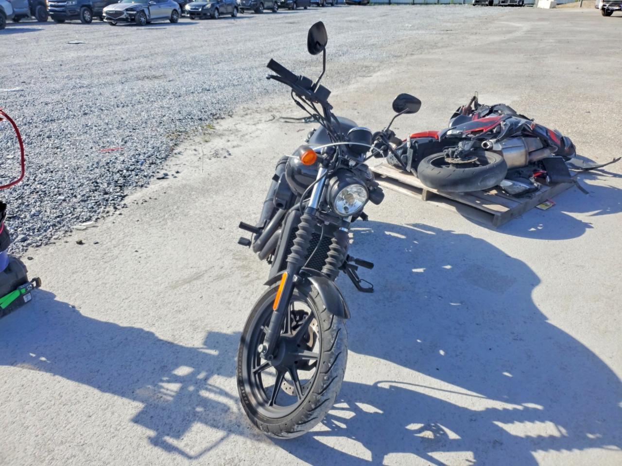 2019 Harley-Davidson Xg500 - Фото 2