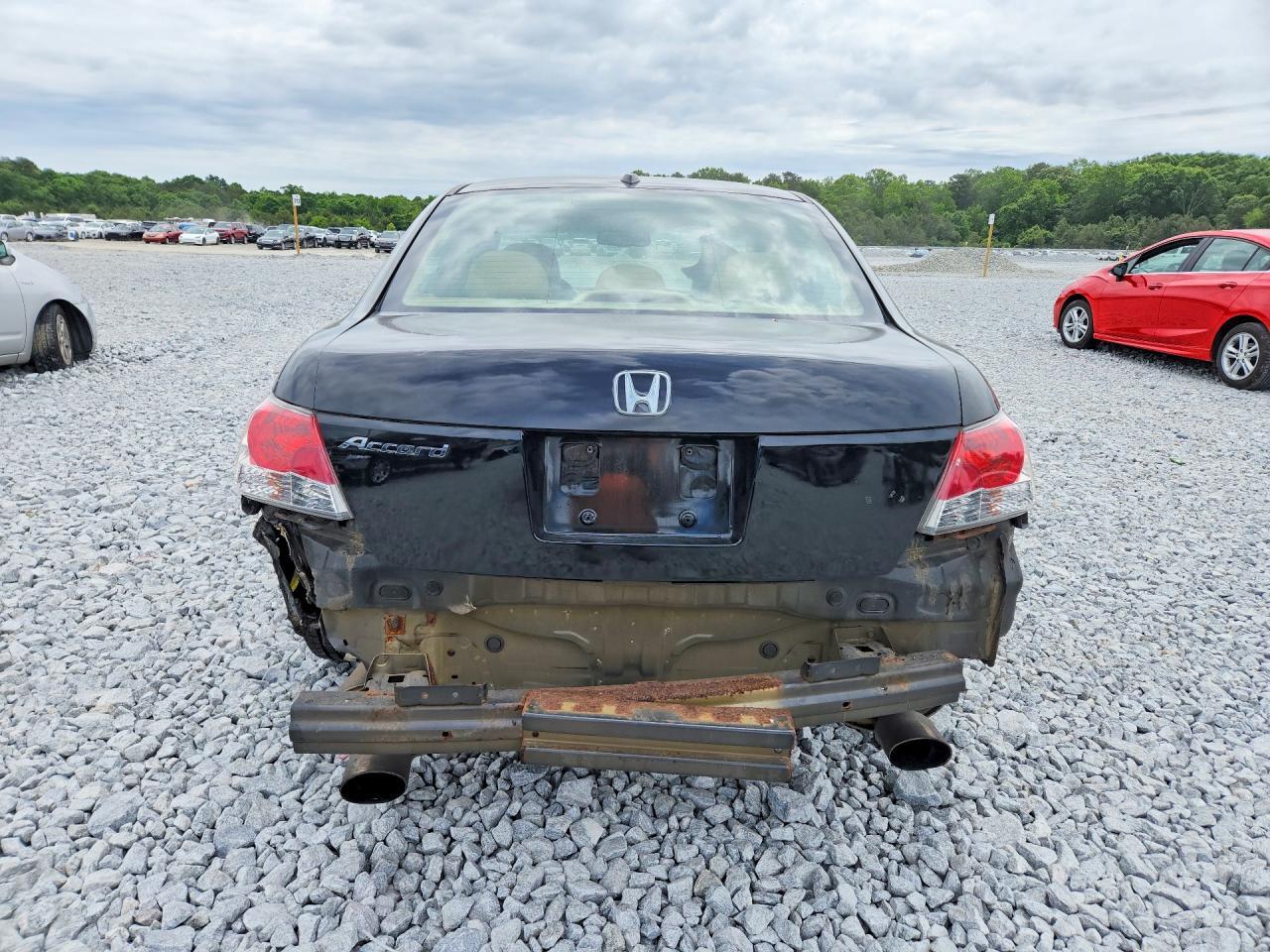 2010 Honda Accord Exl - Image 6