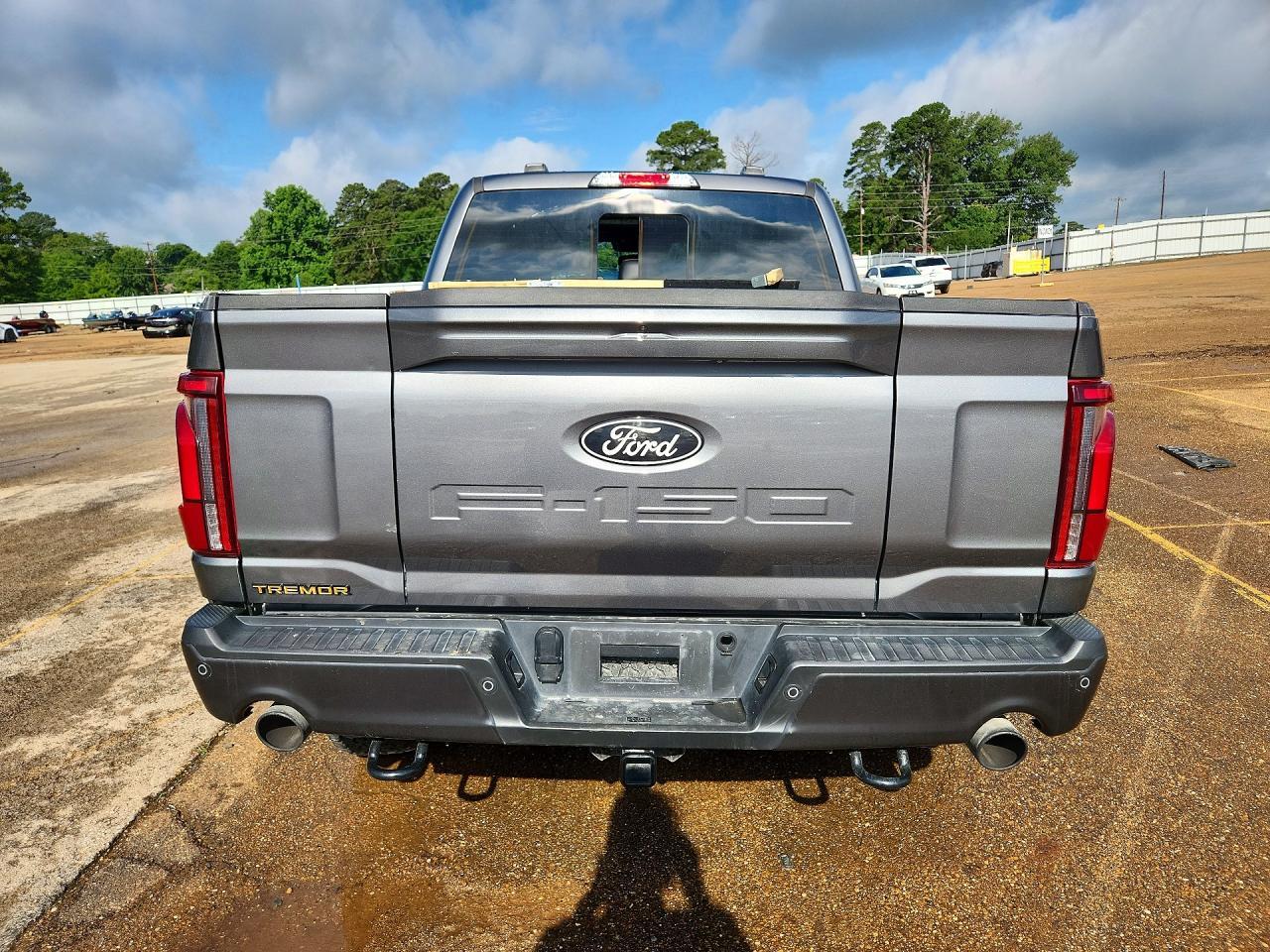 2025 Ford F150 Tremor - Фото 6