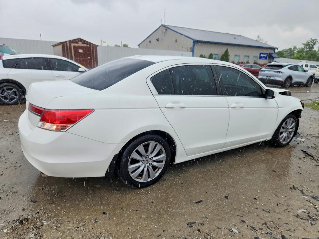 2011 Honda Accord Exl - Image 3