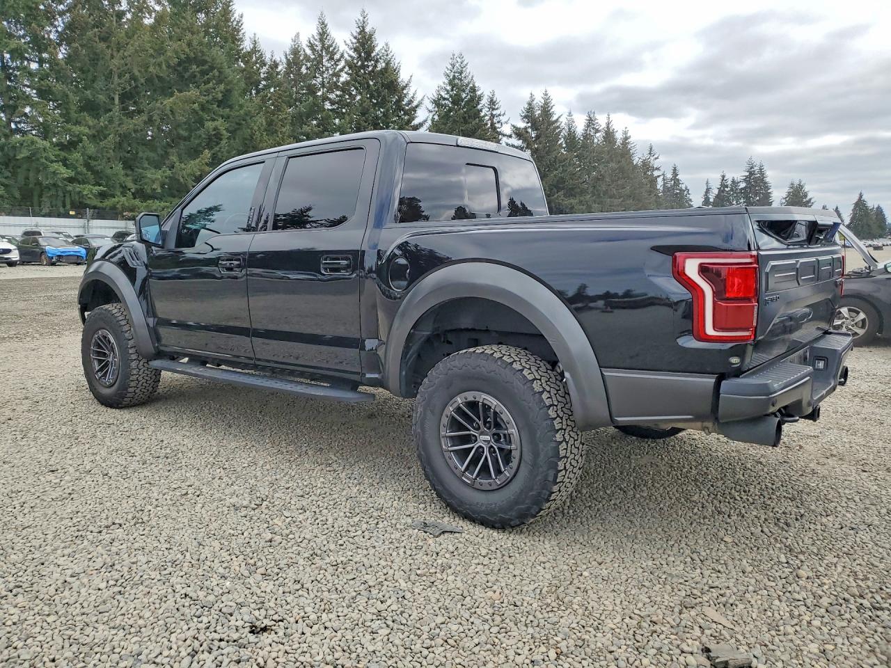 2018 Ford F150 Raptor - Image 2