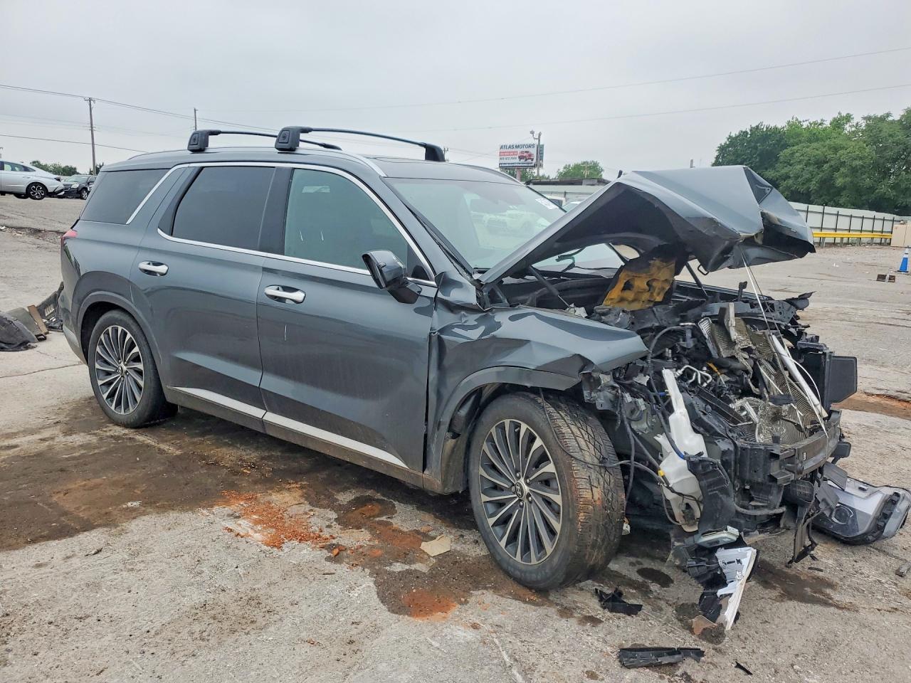 2024 Hyundai Palisade Calligraphy - Фото 4