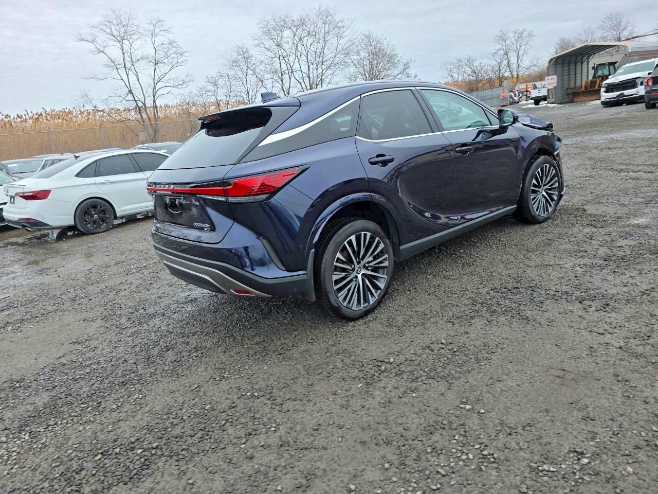 2025 Lexus Rx 350H Premium+ - Фото 4