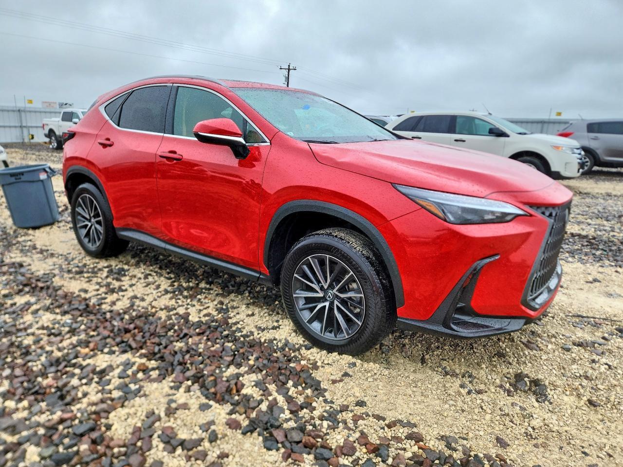 2024 Lexus Nx 250 Premium - Фото 4