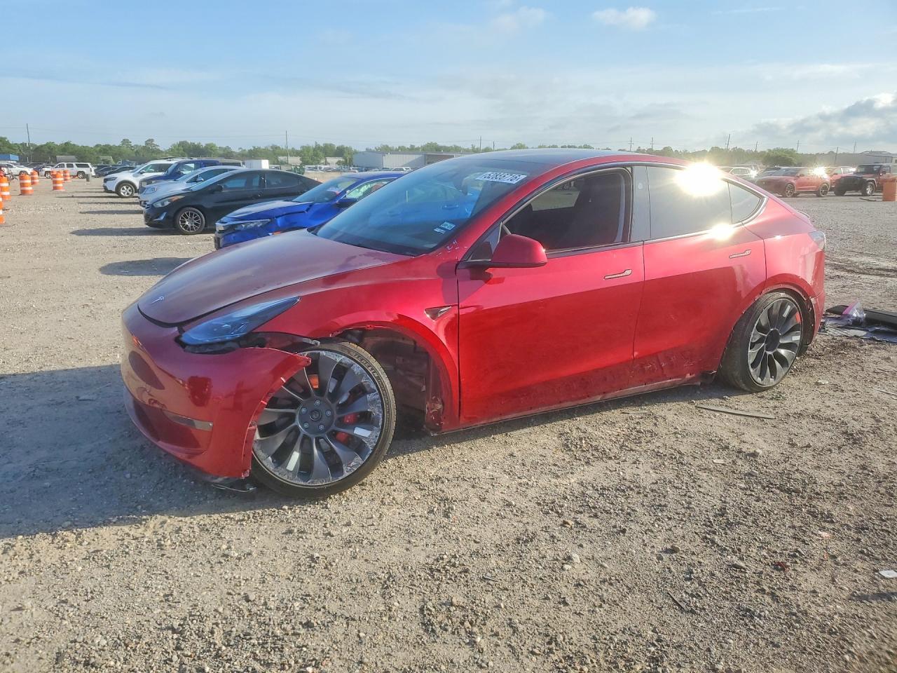 2024 Tesla Model Y