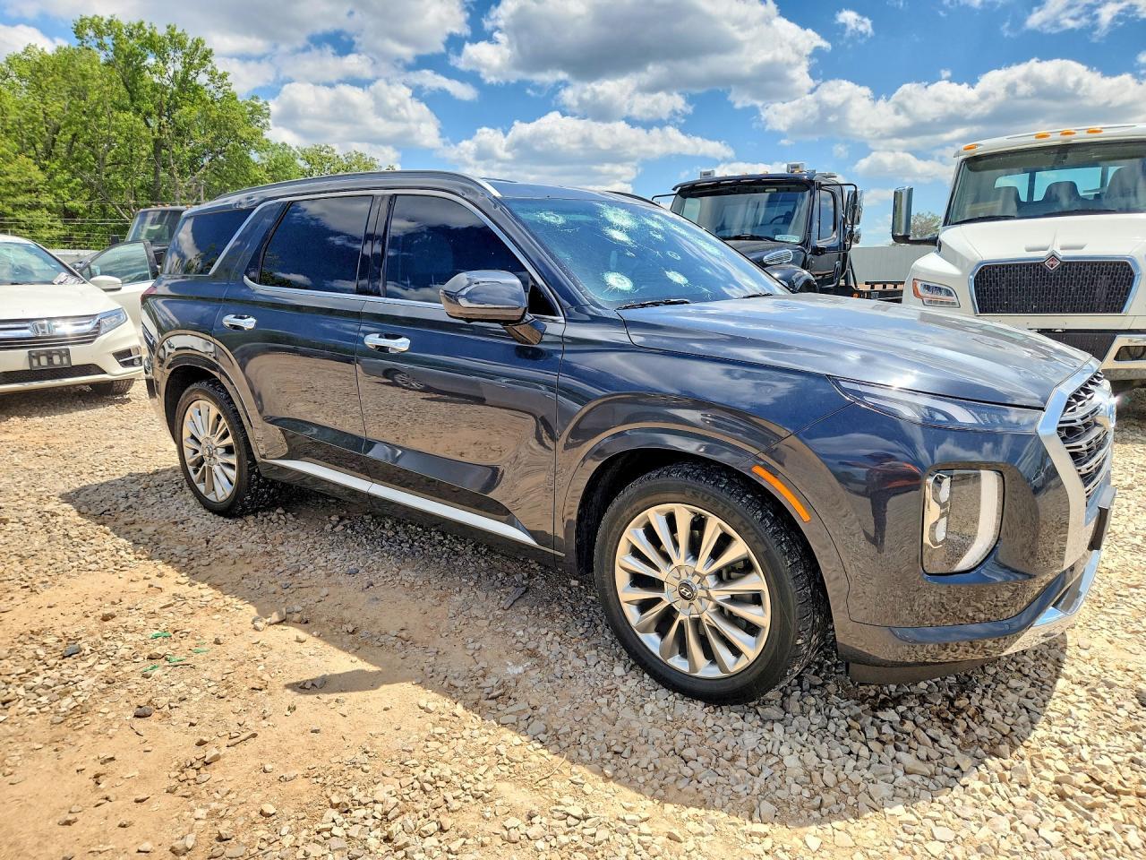 2020 Hyundai Palisade Limited - Фото 4