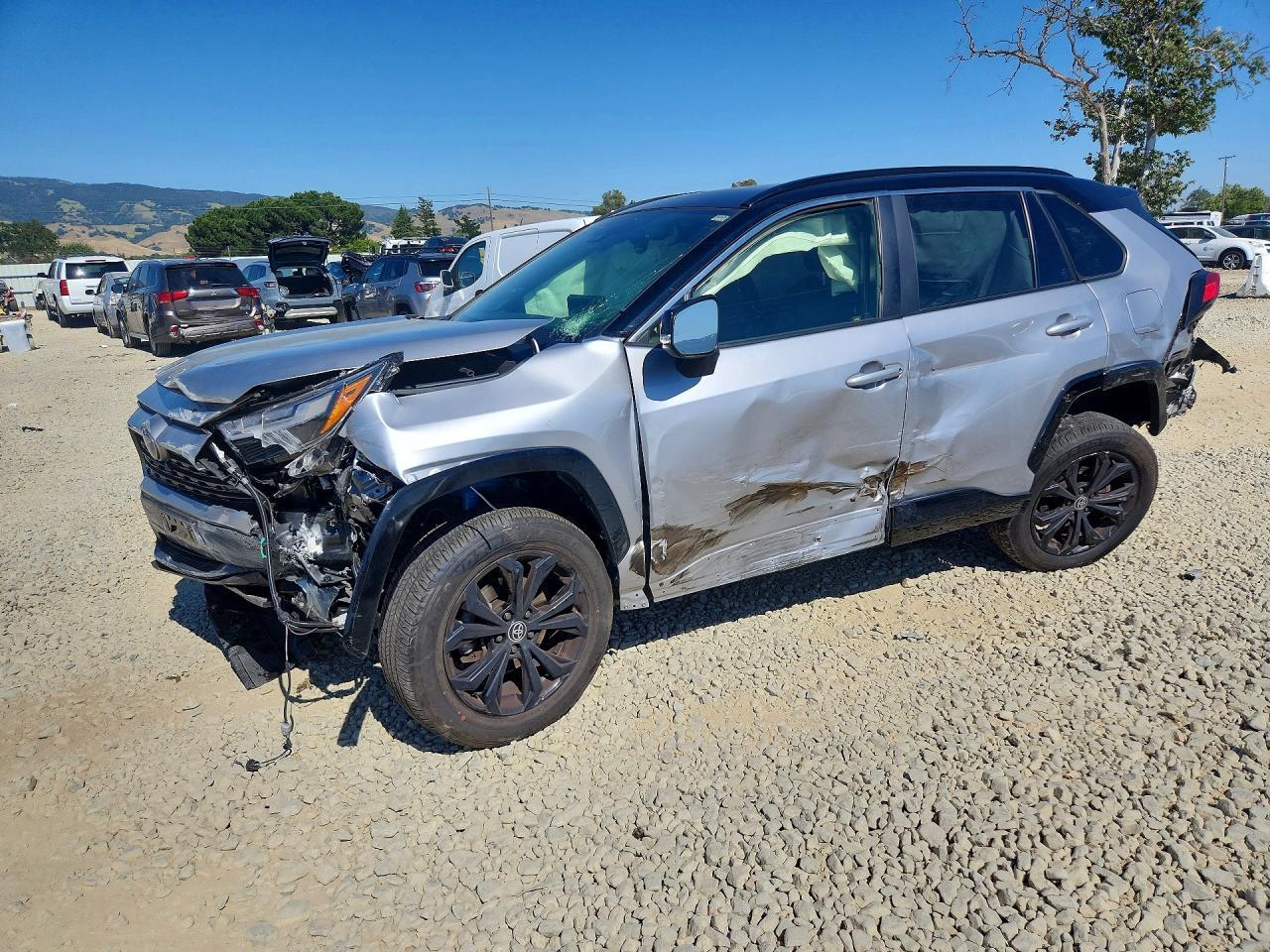 2024 Toyota Rav4 Xse