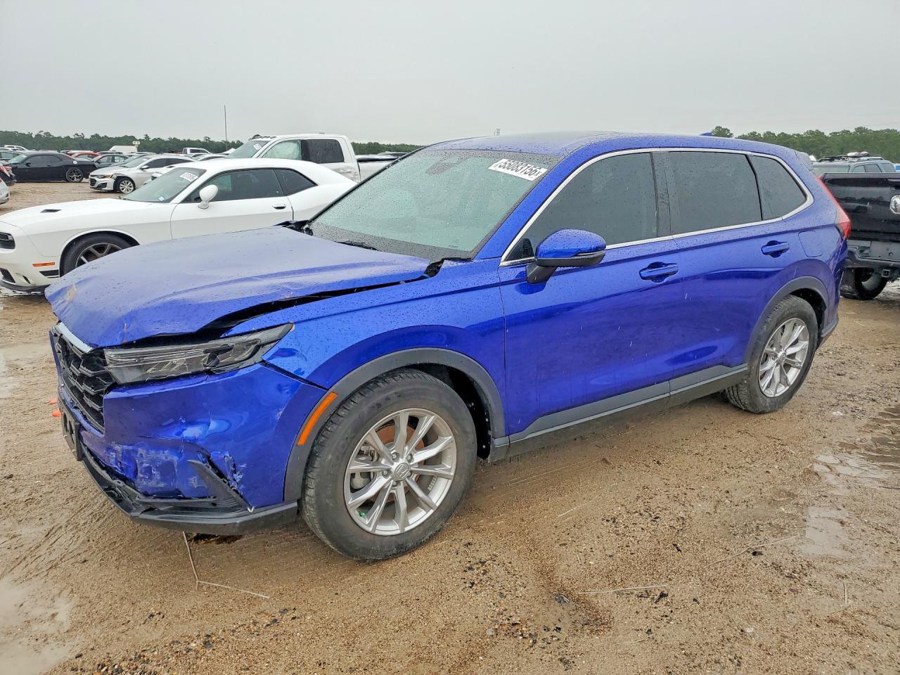 2025 Honda Cr-V Exl