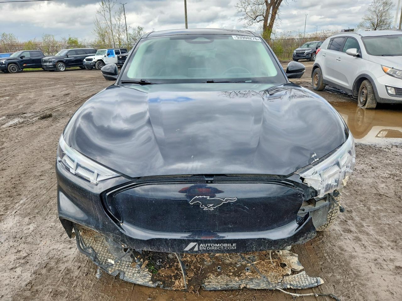 2021 Ford Mustang Mach-E Premium - Фото 5