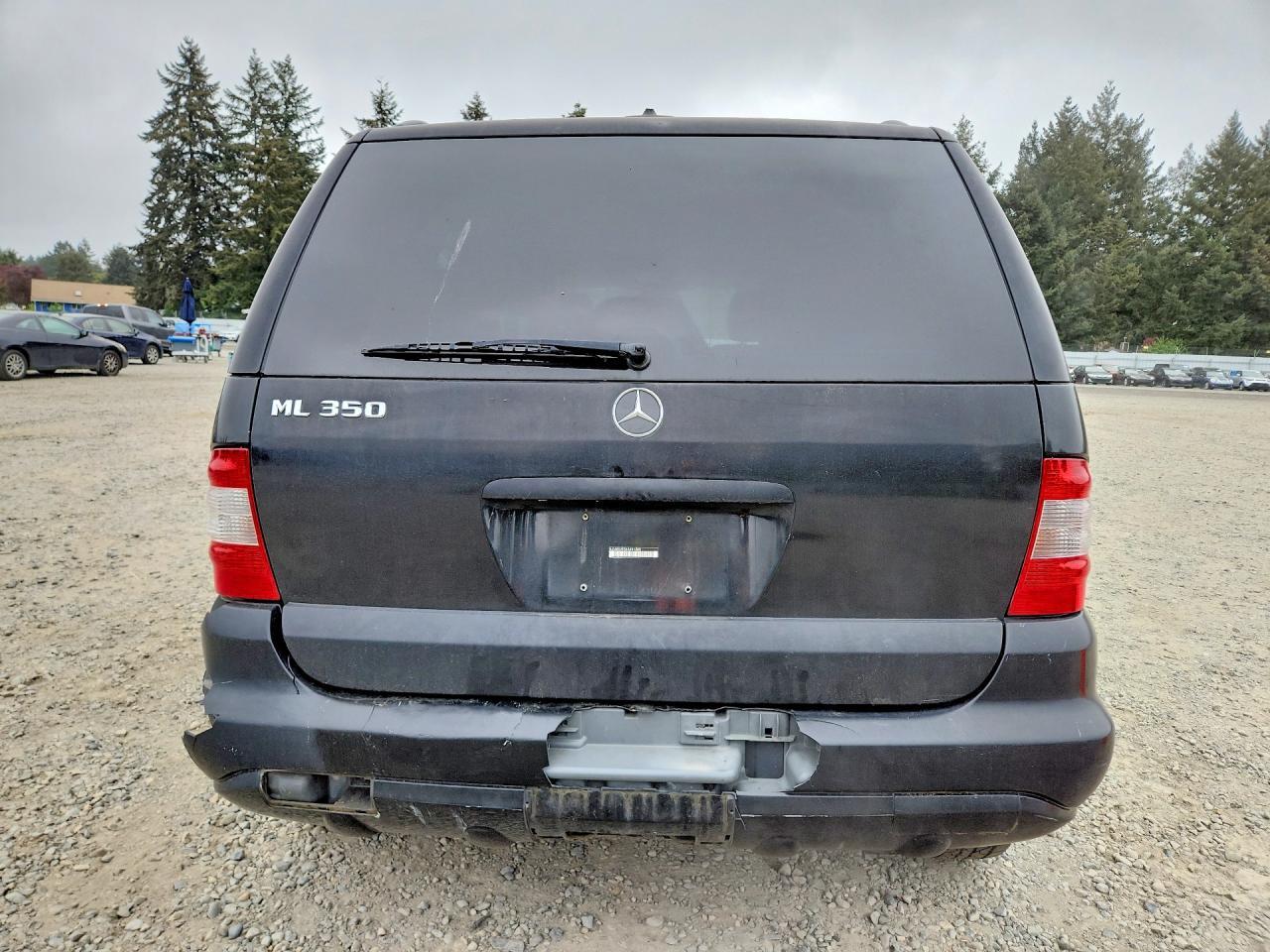 2004 Mercedes-Benz Ml 350 - Фото 6