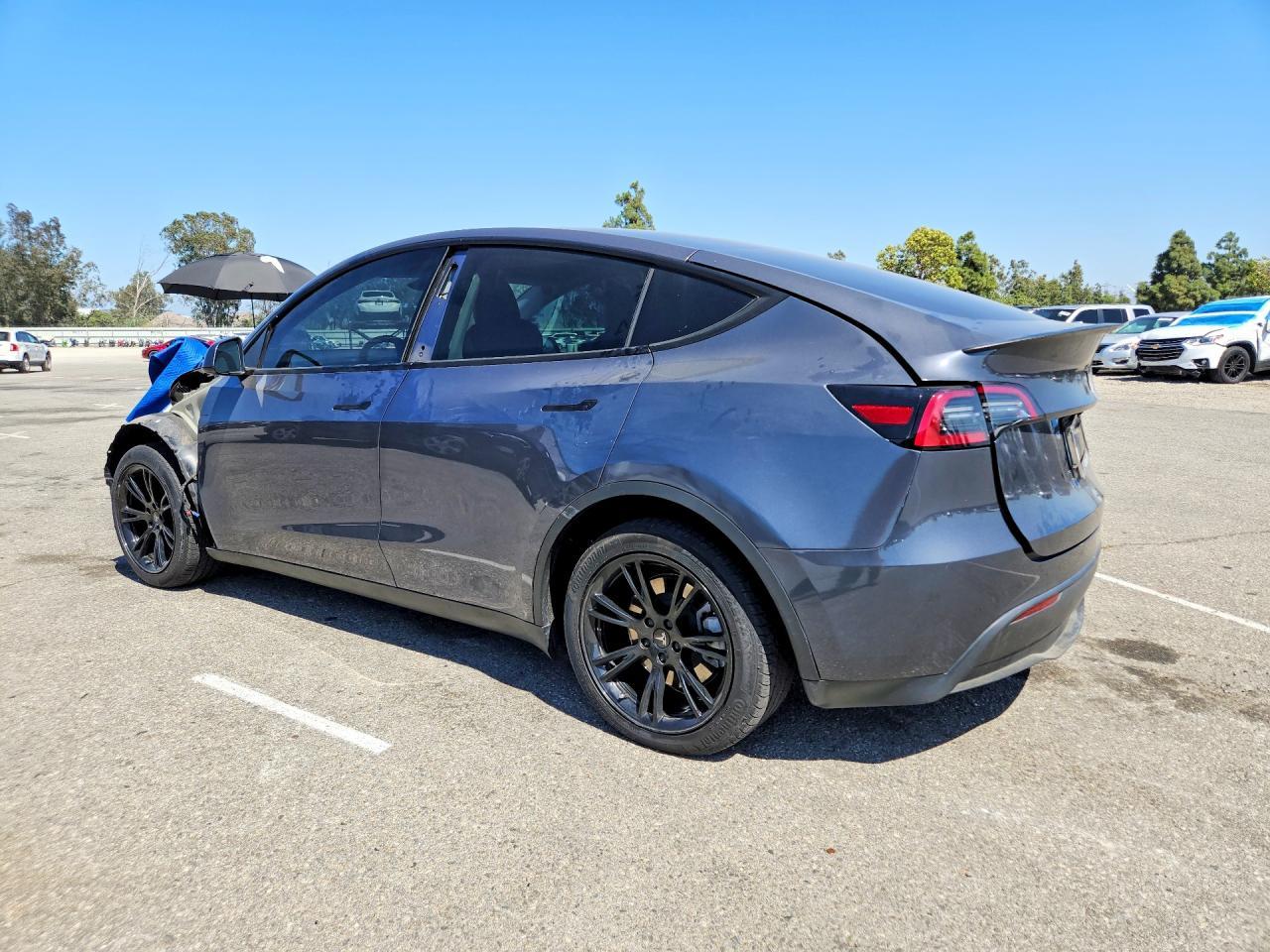 2023 Tesla Model Y - Фото 2