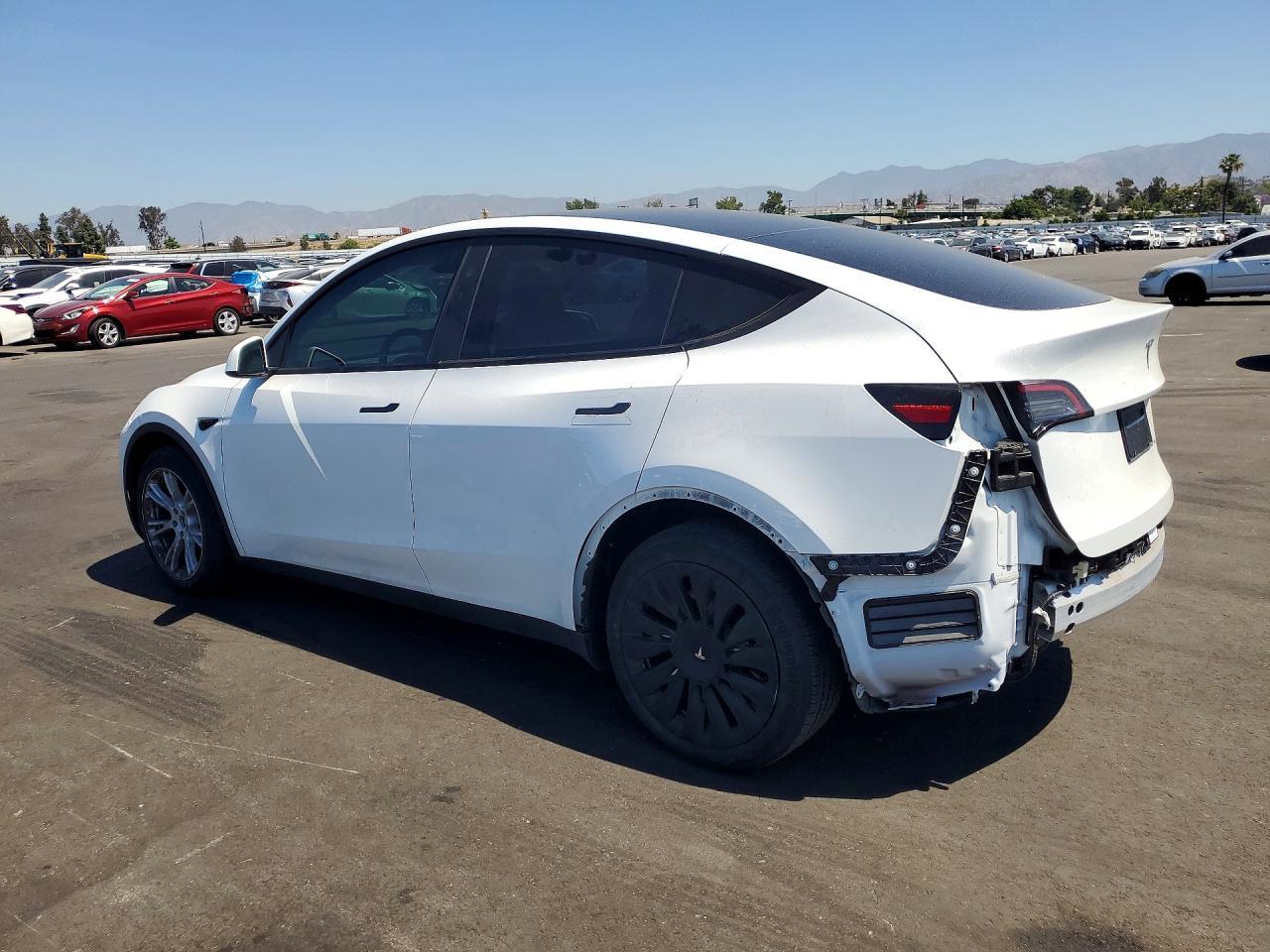 2023 Tesla Model Y - Фото 2